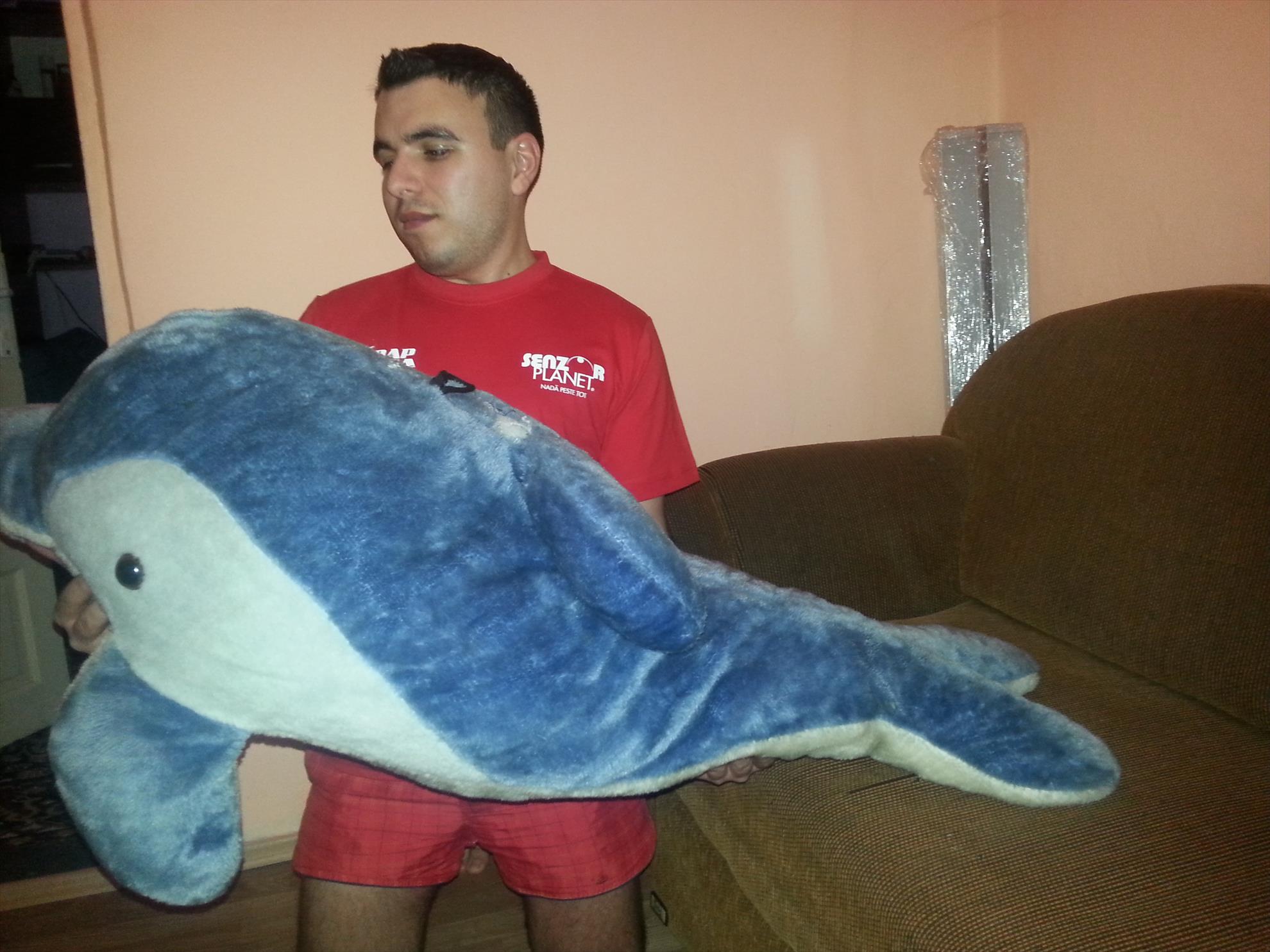 2014 - 201402122014361.jpg